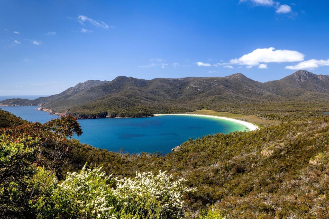 Big4 Iluka On Freycinet Hotell Coles Bay Exteriör bild
